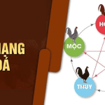 Cách xem màu gà mệnh Thuỷ chính xác