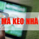 Giải mã kèo 8xbet được hiểu là quá trình nhận định và phân tích tỷ lệ kèo cá cược