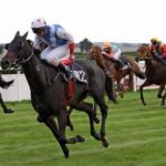 Tìm hiểu nài ngựa kỹ càng - 8xbet